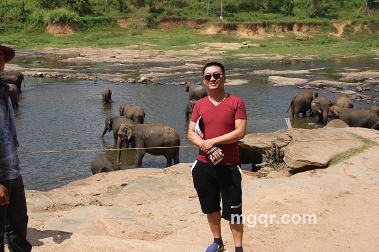 不天涯不海角的头像