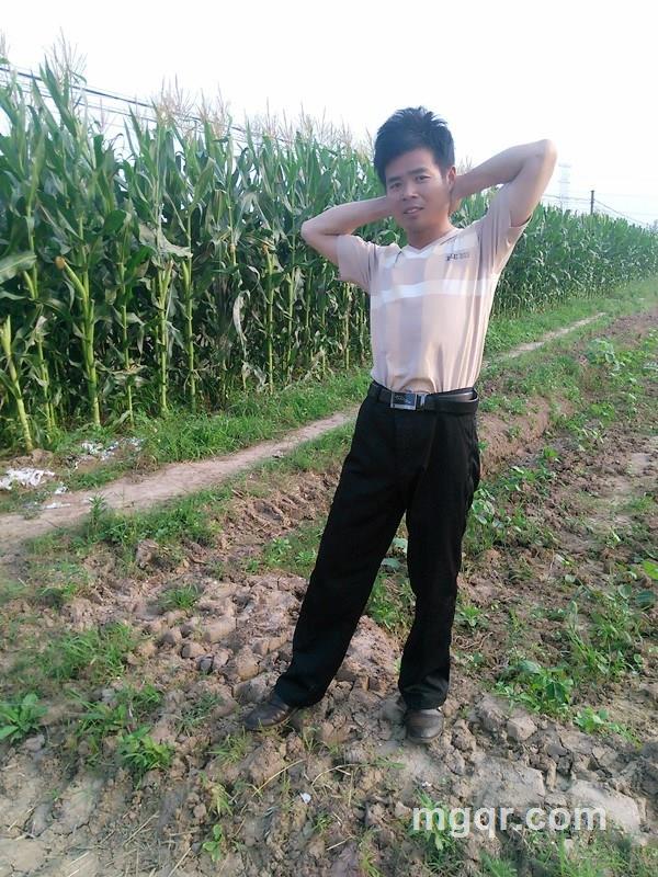 不是你要的的头像