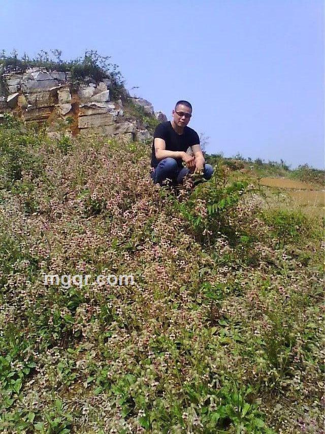 情人网阳光旭的头像