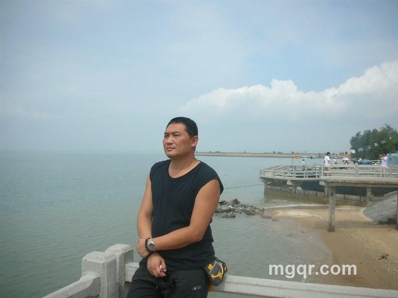 没向的风的头像