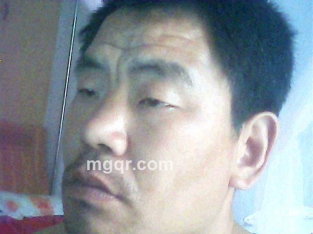 可可西里的头像