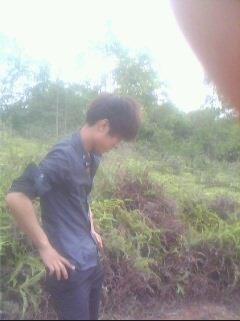 didiaoweizi的头像