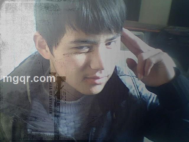 樱花已冷的头像