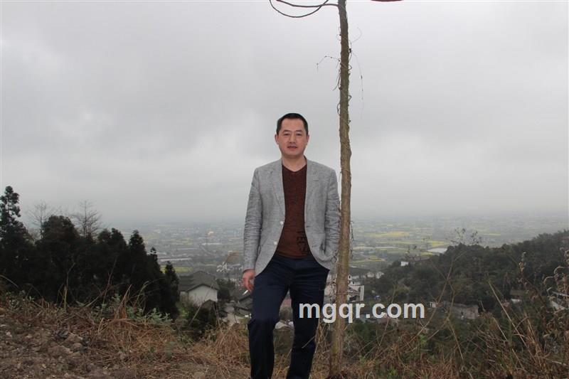 在路上的风的头像