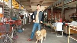 中原一点红的头像