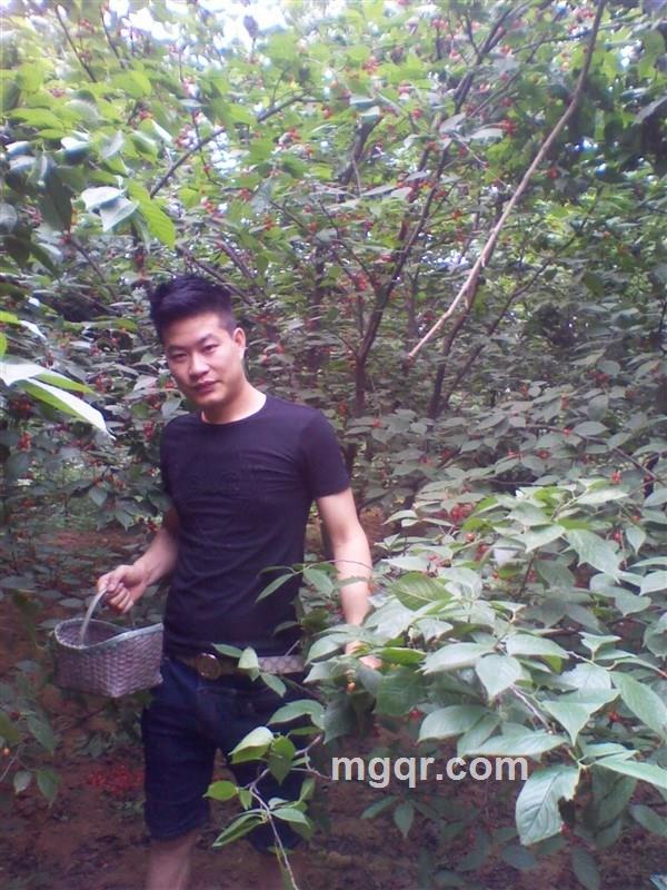  被伤过的男人的头像