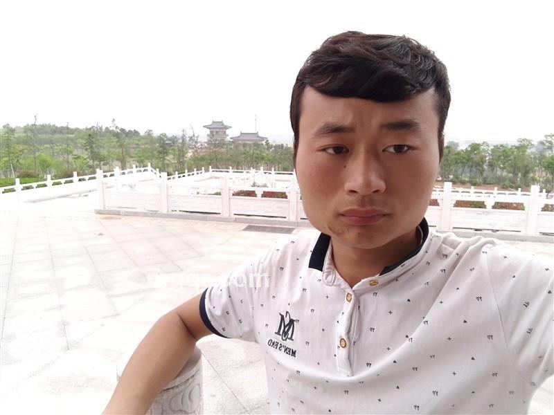 微不可信的头像