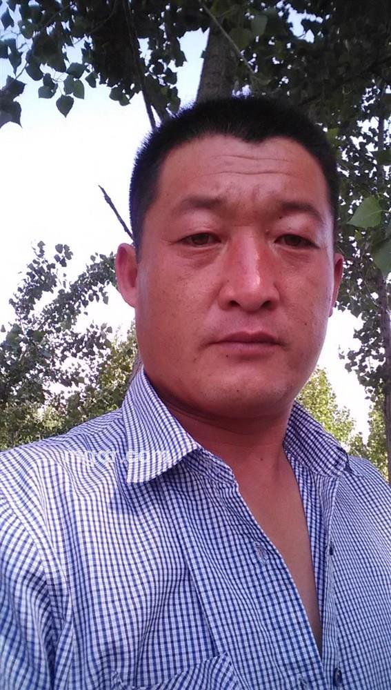 大漠苍狼的头像