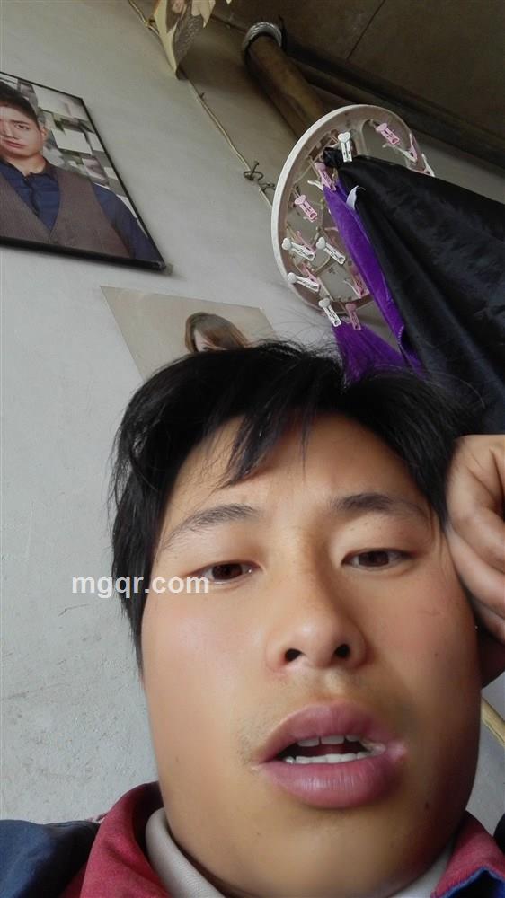 天使的眼泪的头像