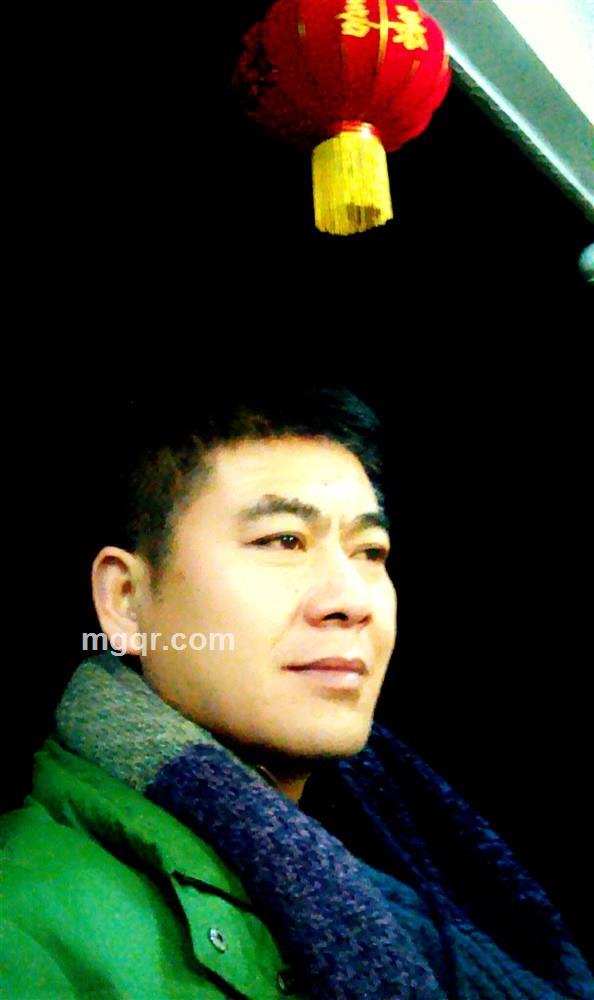 高原牦牛的头像