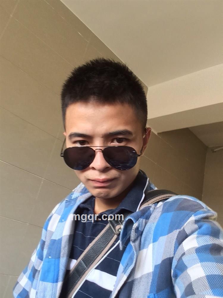 唠叨的大象的头像
