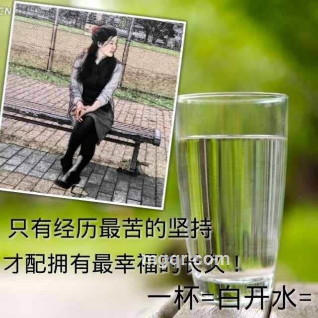 一片叶子，的头像