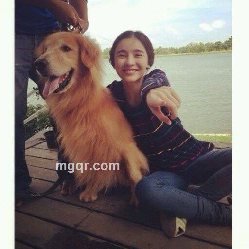 摸的就是你的头像