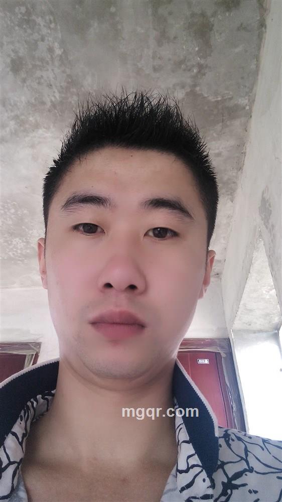 爱恨情愿的头像