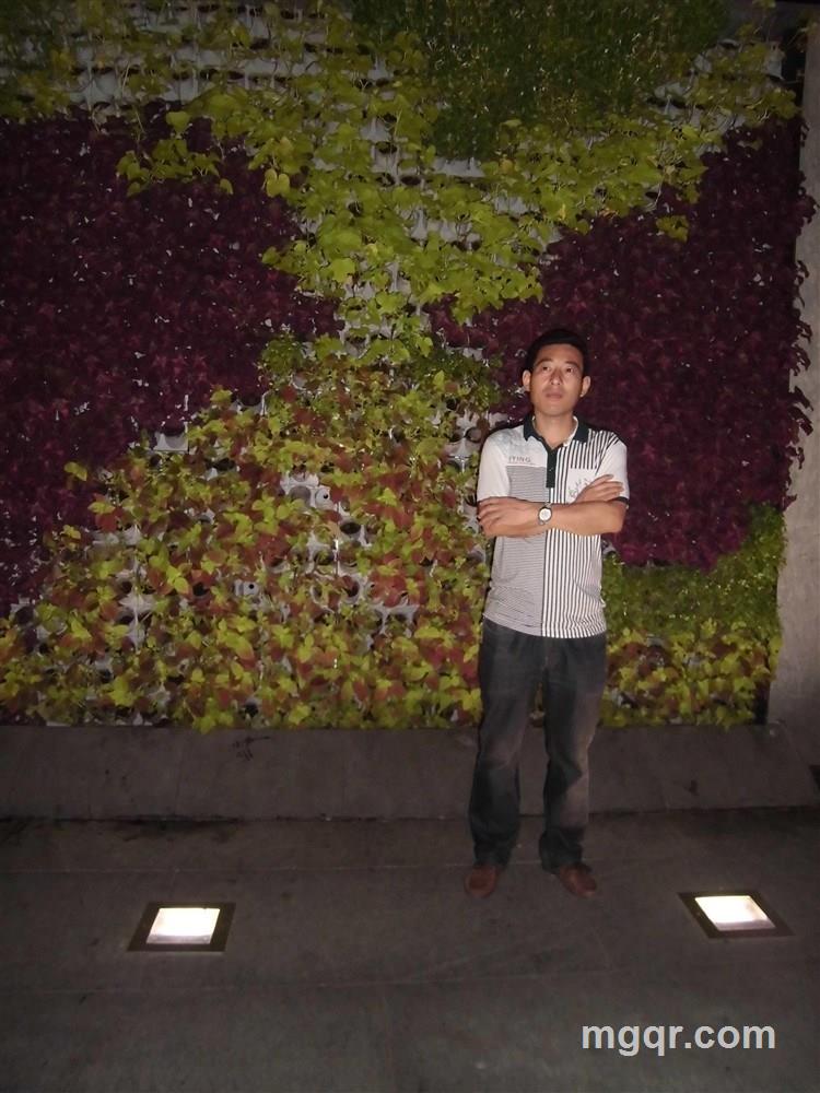 朋友不哭的头像