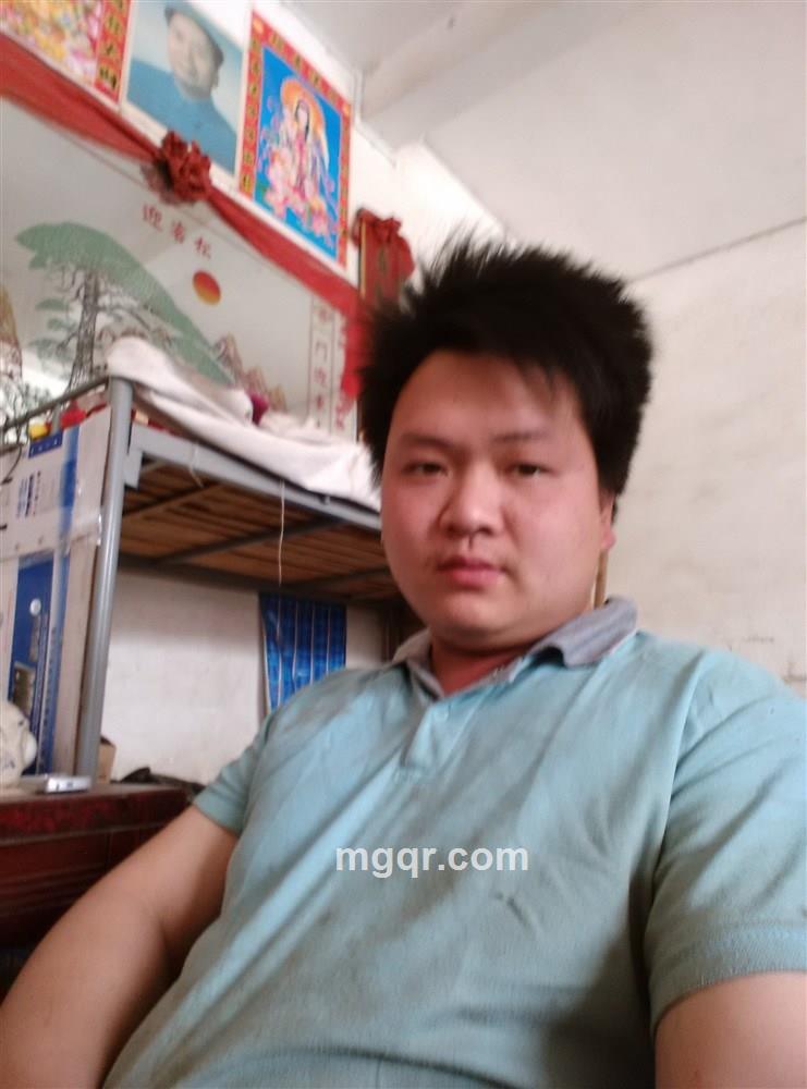 爱不停留的头像