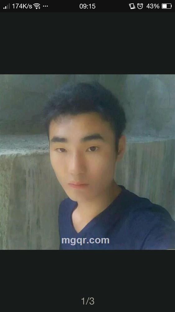 飞翔的鱼的头像