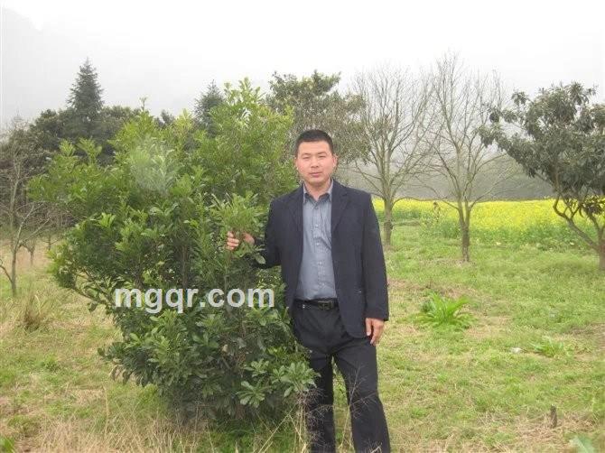 所谓的孝道的头像