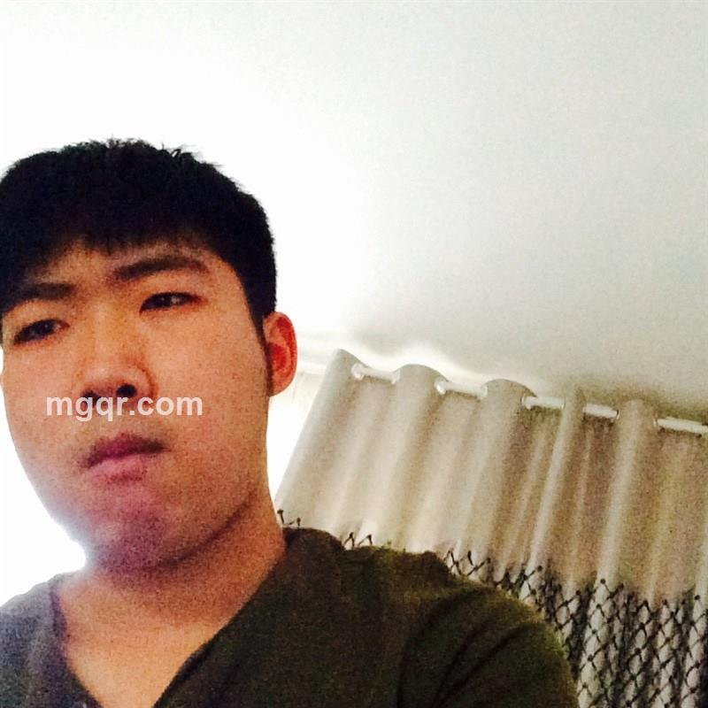 向往乐园的头像