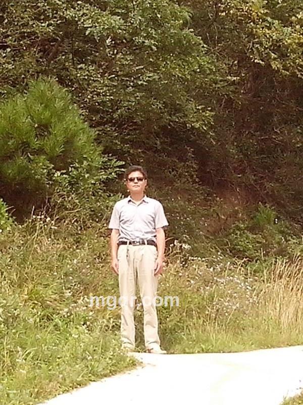 岁寒松拍的头像