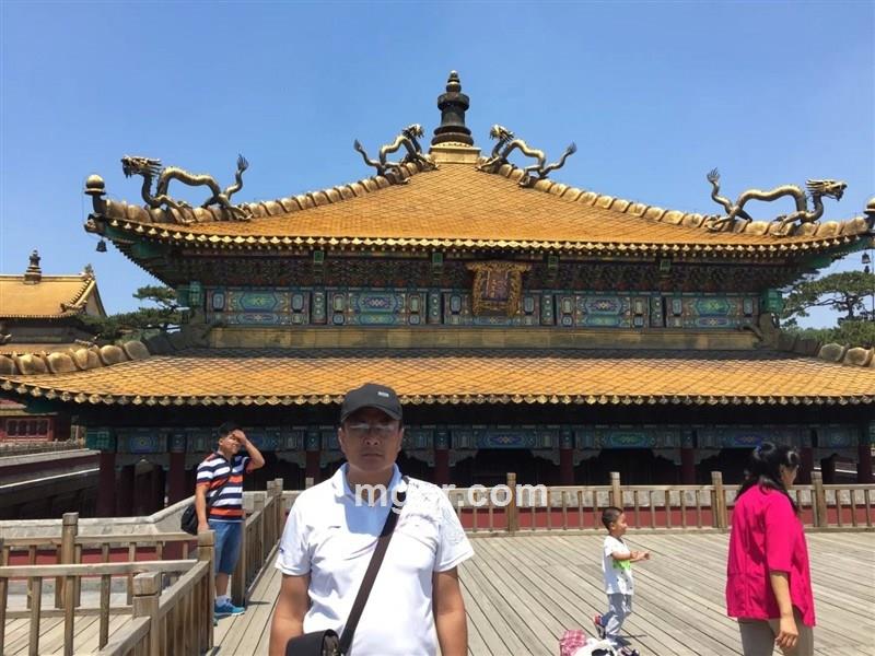 妹妹妹妹妹妹妹妹的头像