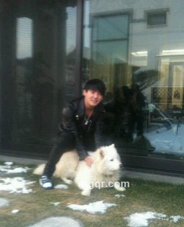 我爱情睡醒了的头像