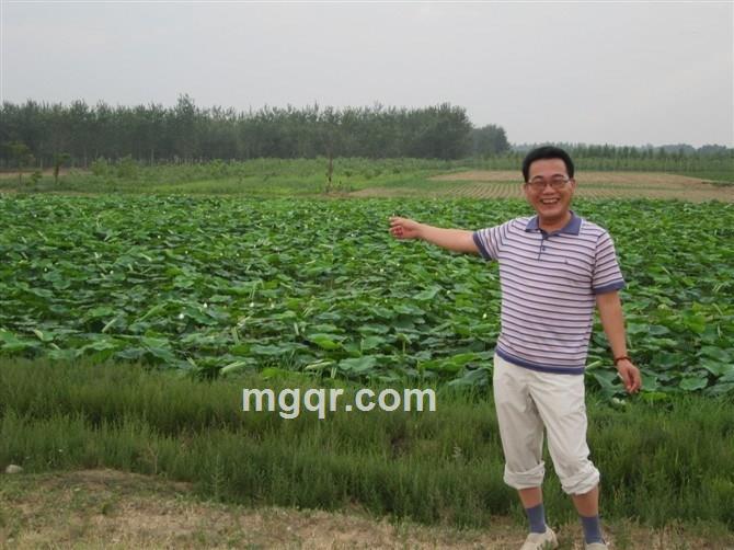 邂逅温柔XXX的头像