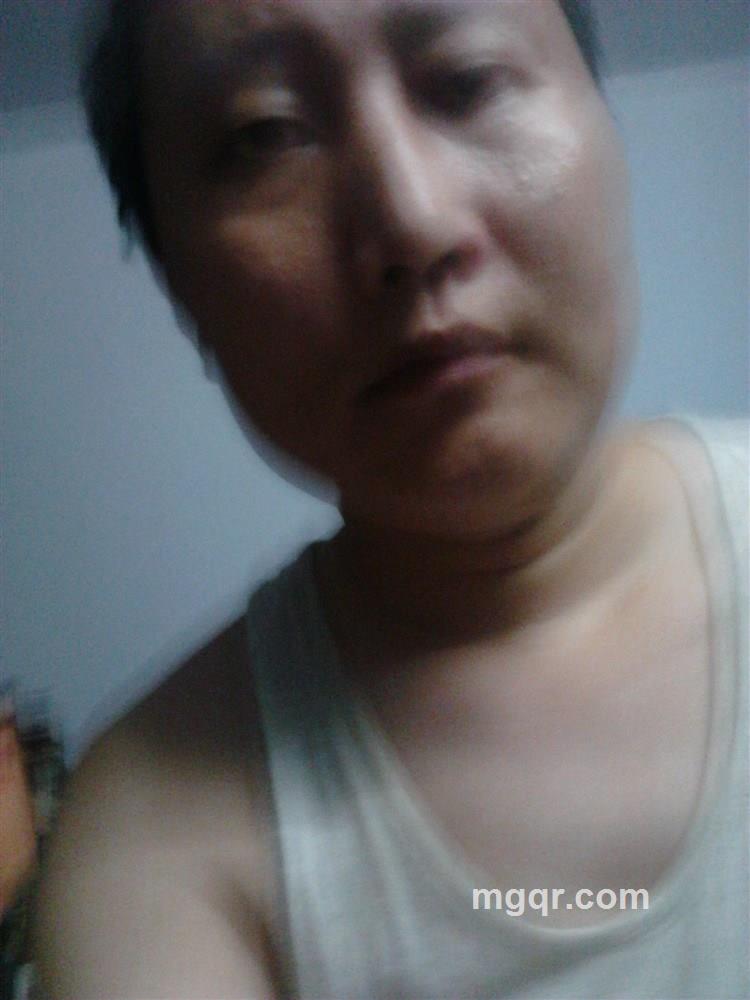 雪中飞猫痴的头像