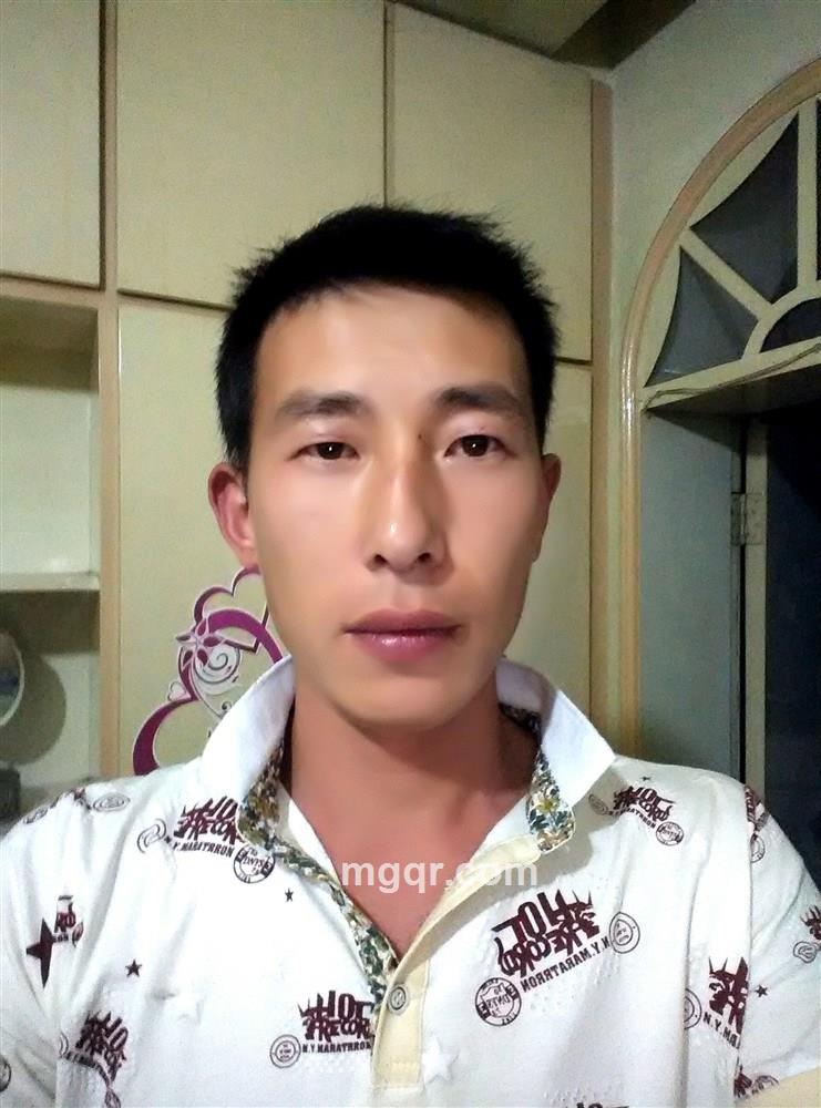 会飞的鱼的头像