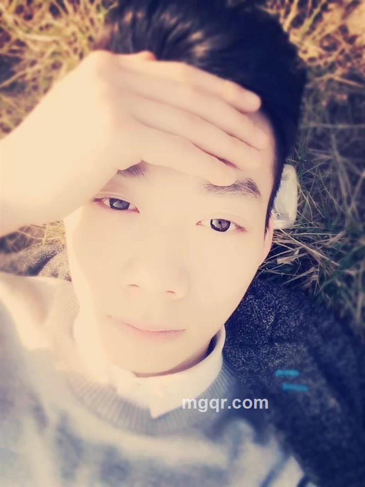 旋转的骆驼的头像