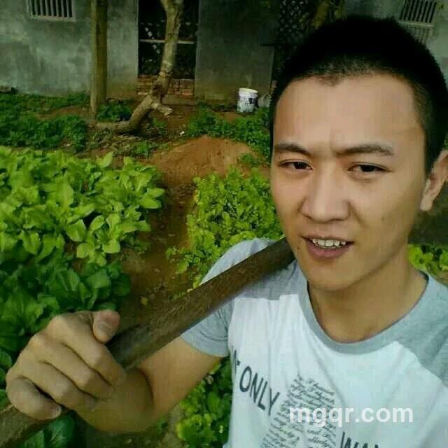 凯凯大流氓??的头像