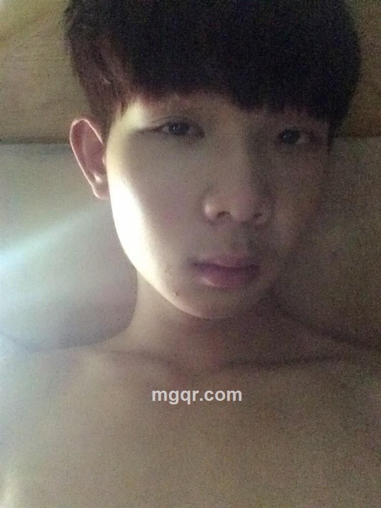 尧笨笨的头像