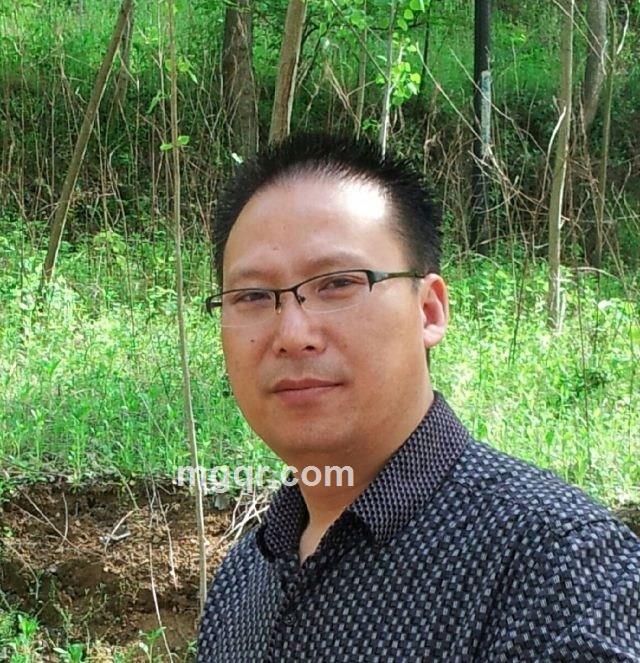 鲲鹏展翅的头像