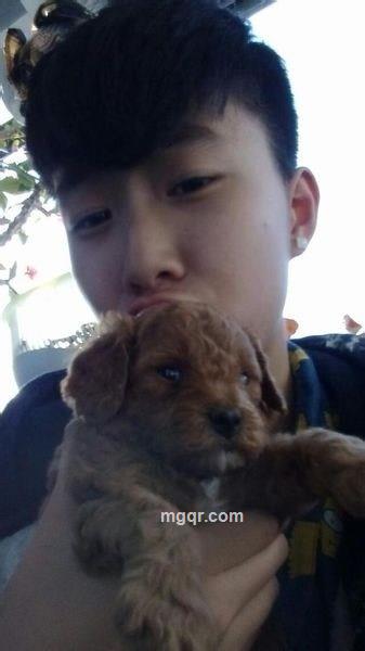 woshi帅哥的头像