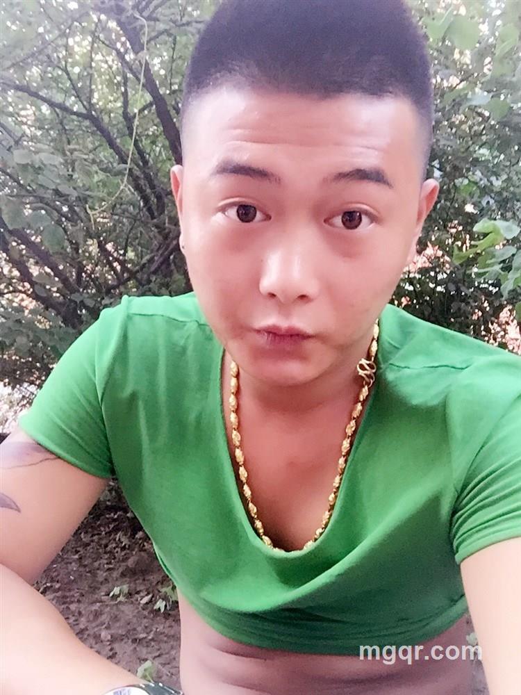 秃了皮的头像