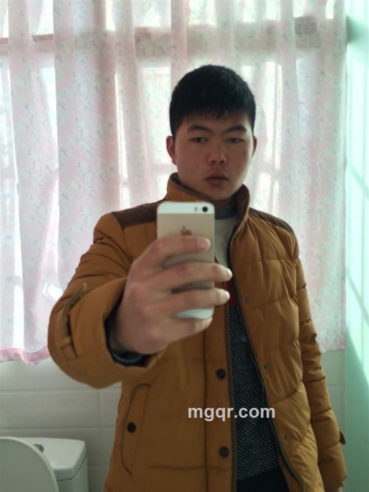 dzl123dn的头像
