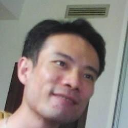 城市森林的狼的头像