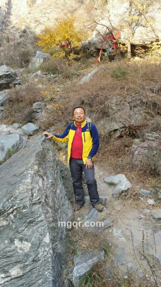 lehuogege2的头像