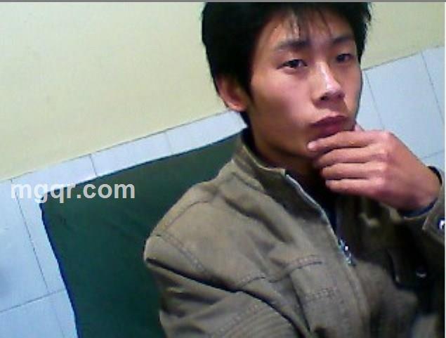 江苏镇江小狼狗的头像