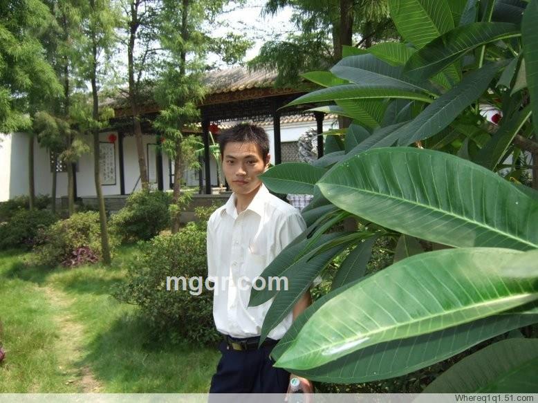 冬天的太阳很暧的头像