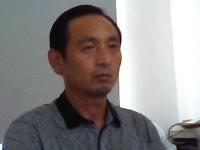 红杉树叶的头像