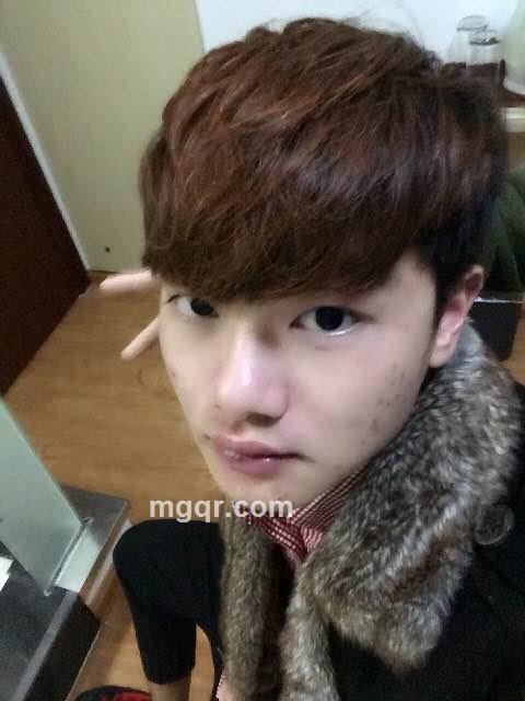 斑马斑马的头像