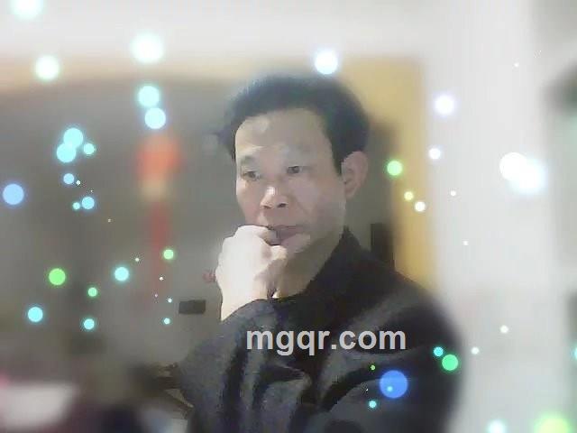 雨中枫林的头像