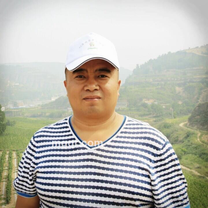 心里空虚的头像