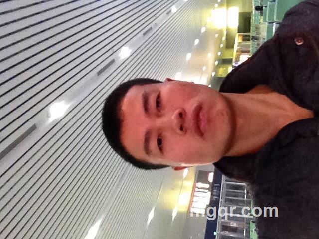 一网情深的头像