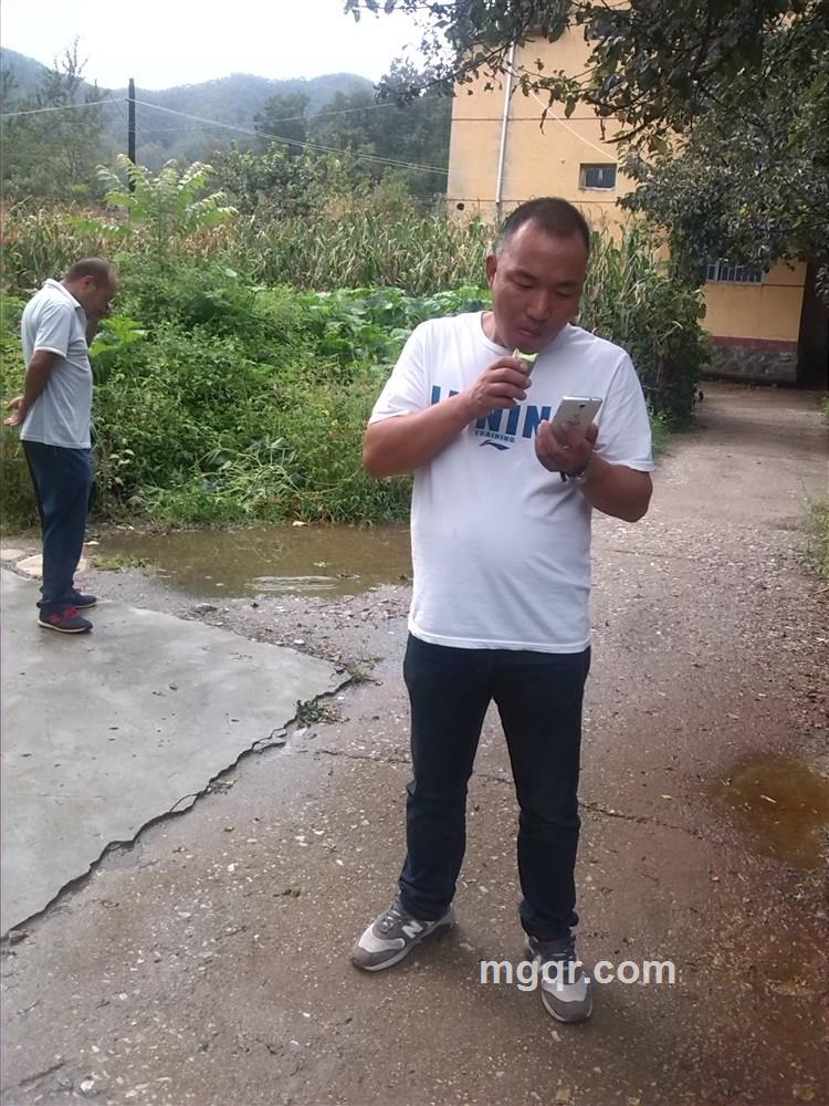 冰岛火山的头像