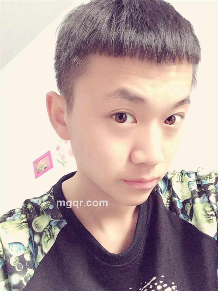 小鲜肉的头像