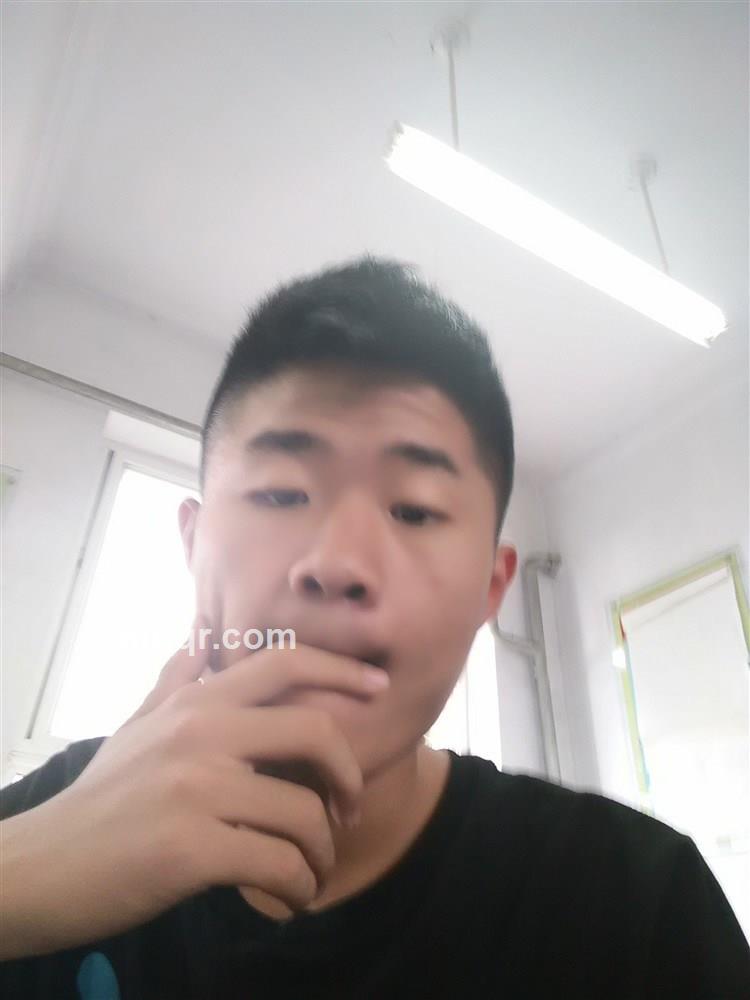 疯狂的企鹅的头像