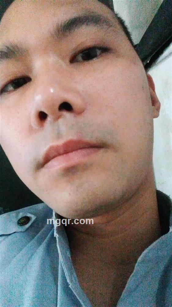 沉默的狗狗的头像