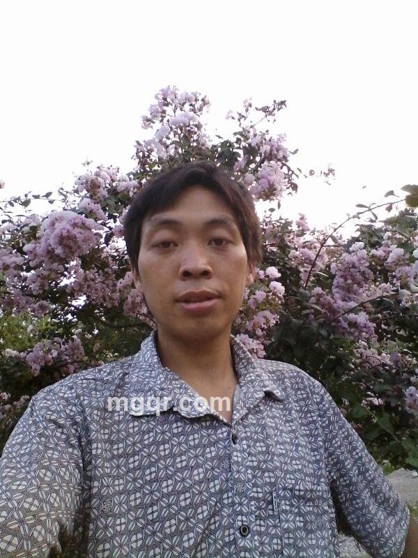 寻找家的感觉的头像